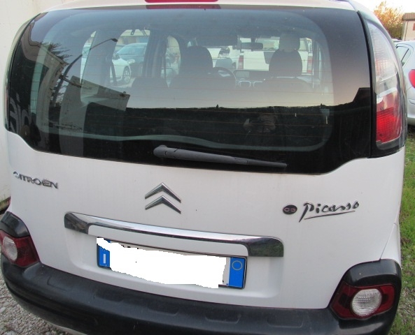 C 3 PICASSO 