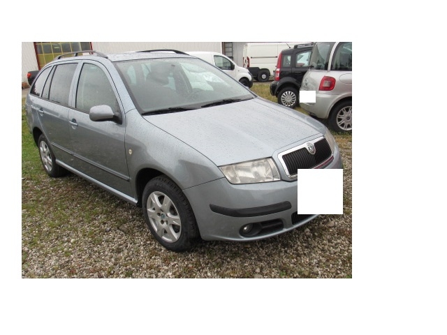 FABIA SW GPL FINO 2029 NEOPATENTATI